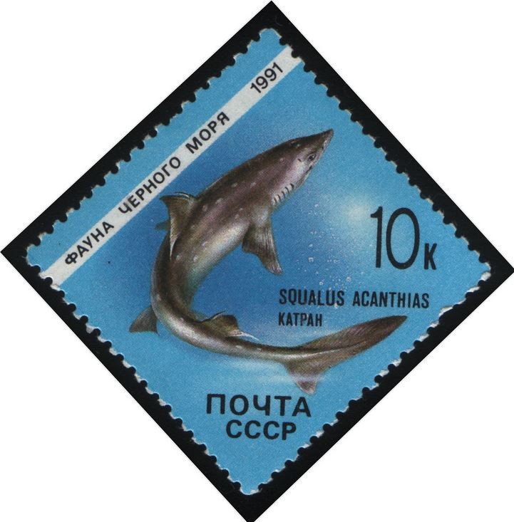 Обыкновенная колючая акула на марке СССР