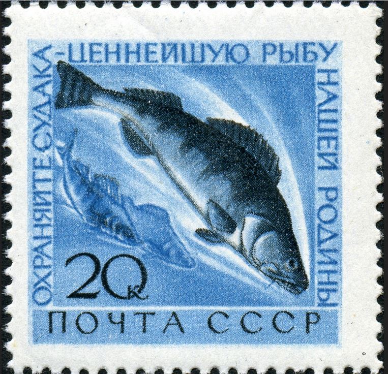Судак на почтовой марке СССР